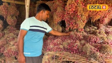 प्याज की खेती करने वाले किसानों के लिए बड़ी खबर, 15 अगस्त के बाद भी क्यों रुकी बुवाई? सामने आई वजह