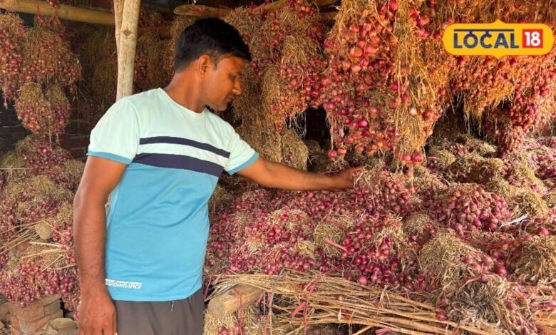प्याज की खेती करने वाले किसानों के लिए बड़ी खबर, 15 अगस्त के बाद भी क्यों रुकी बुवाई? सामने आई वजह