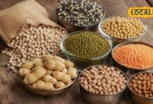 प्रोटीन के लिए महंगा पाउडर क्यों खरीदना? रसोई की ये 7 देसी चीजें करेंगी काम, जानें किसमें कितना मिलेगा प्रोटीन