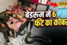 बच्चों के कमरे में घुसा 6 फीट लंबा कोबरा, AC की हवा में बेड के नीचे बना रखा था ठिकाना