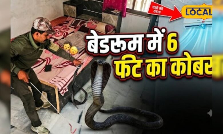 बच्चों के कमरे में घुसा 6 फीट लंबा कोबरा, AC की हवा में बेड के नीचे बना रखा था ठिकाना