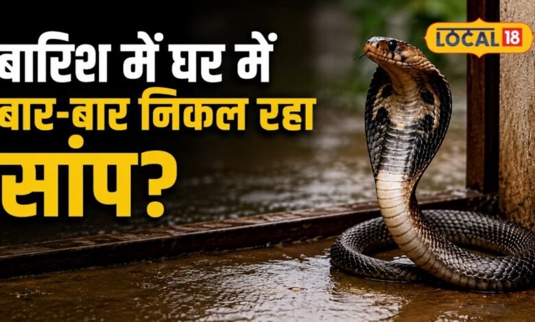बारिश में घर में बार-बार निकल रहा है सांप? जानिए मारना चाहिए या नहीं, सर्पदोष से मुक्ति के लिए नाग पंचमी पर करें ये उपाय