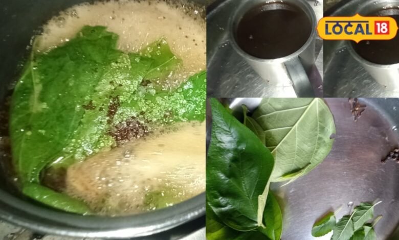 बारिश में बढ़ी सर्दी-खांसी की परेशानी? दादी-नानी का ये सिंघाड़ा पत्ता वाला काढ़ा है गजब