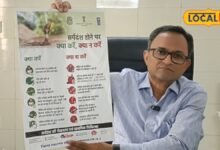 बारिश में सांप काट ले तो क्या करें और क्या बिल्कुल न करें, एक्सपर्ट से जानें ये टिप्स, बच जाएगी जान!