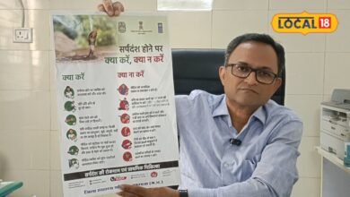 बारिश में सांप काट ले तो क्या करें और क्या बिल्कुल न करें, एक्सपर्ट से जानें ये टिप्स, बच जाएगी जान!