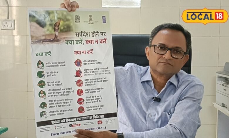 बारिश में सांप काट ले तो क्या करें और क्या बिल्कुल न करें, एक्सपर्ट से जानें ये टिप्स, बच जाएगी जान!