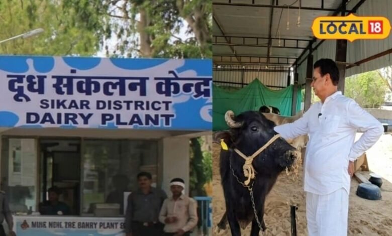 बेटी के जन्म पर 21 हजार की FD, दूध पर 7 रुपए अतिरिक्त, सरस डेयरी ने किसानों के लिए खोला खजाना