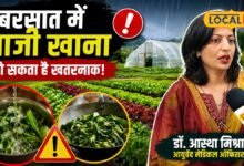 भाजी खा रहे हैं तो जरा ठहरिए! बारिश में बढ़ जाता है संक्रमण का खतरा; पहले जान लें एक्सपर्ट की ये सलाह