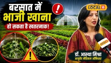 भाजी खा रहे हैं तो जरा ठहरिए! बारिश में बढ़ जाता है संक्रमण का खतरा; पहले जान लें एक्सपर्ट की ये सलाह