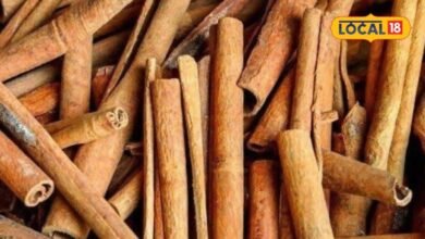 रसोई का ये मसाला बैड कोलेस्ट्रॉल को कर सकता है कम, डॉक्टर से जानें कैसे करें इस्तेमाल