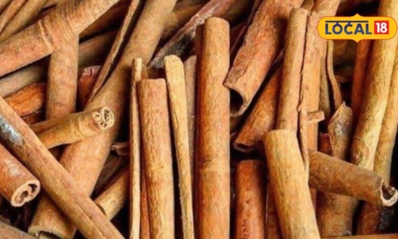 रसोई का ये मसाला बैड कोलेस्ट्रॉल को कर सकता है कम, डॉक्टर से जानें कैसे करें इस्तेमाल