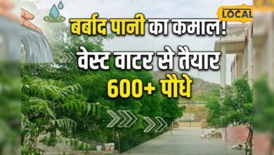 रेगिस्तान में हरियाली का कमाल, वेस्ट वाटर से लहलहाए 600 पौधे, स्कूल बना मिसाल