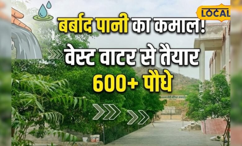 रेगिस्तान में हरियाली का कमाल, वेस्ट वाटर से लहलहाए 600 पौधे, स्कूल बना मिसाल