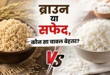 रोज चावल खाते हैं तो जान लें कौन सा है बेहतर, ब्राउन राइस या सफेद चावल? वजन, डायबिटीज और सेहत के लिए क्या है बेस्ट ऑप्शन?
