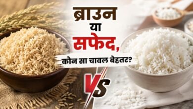 रोज चावल खाते हैं तो जान लें कौन सा है बेहतर, ब्राउन राइस या सफेद चावल? वजन, डायबिटीज और सेहत के लिए क्या है बेस्ट ऑप्शन?