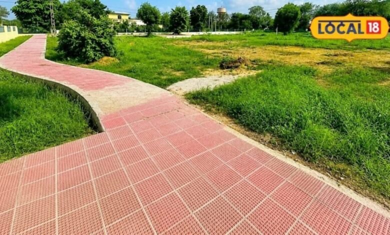 सीकर मंडी में बदली तस्वीर, 31 लाख की लागत से बना पार्क खुला, 500 मीटर का है वॉकिंग ट्रैक