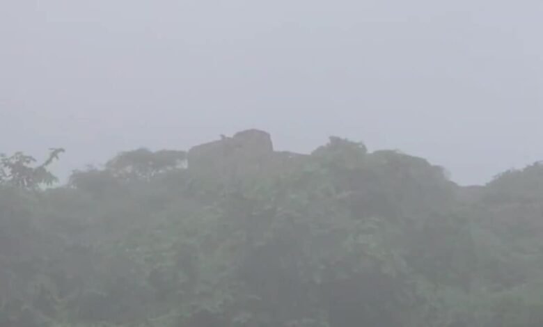 Karauli News: सपोटरा के वन क्षेत्र में किले की दीवार पर दिखा लेपर्ड, साथ में दो शावक, इलाके में दहशत