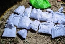 श्रीगंगानगर बॉर्डर पर पाकिस्तानी ड्रोन ने गिराई हेरोइन, BSF ने दबोची खेप
