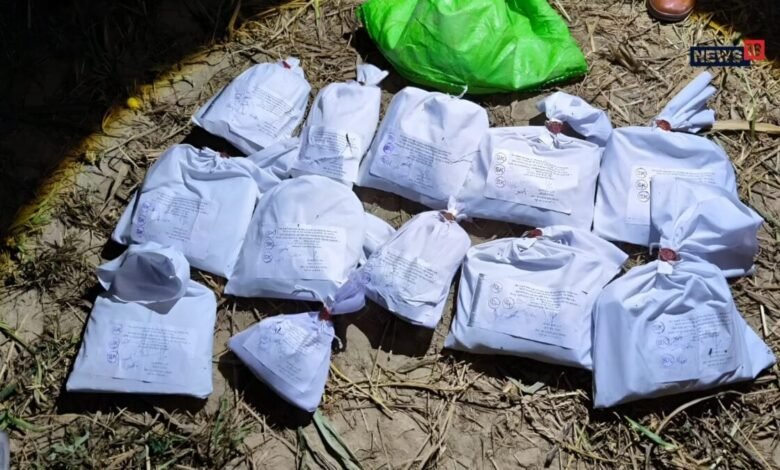 श्रीगंगानगर बॉर्डर पर पाकिस्तानी ड्रोन ने गिराई हेरोइन, BSF ने दबोची खेप