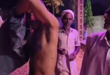 Jhunjhunu News: झुंझुनूं में पैंथर का आतंक, महिला पर हमला, कुछ देर बाद ग्रामीण को भी बनाया शिकार
