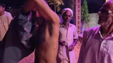 Jhunjhunu News: झुंझुनूं में पैंथर का आतंक, महिला पर हमला, कुछ देर बाद ग्रामीण को भी बनाया शिकार