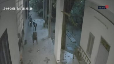 Dungarpur: घर में घुसा लेपर्ड, कुत्तों पर किया हमला, CCTV में हुआ कैद