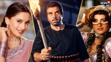 4 साल तक हाउसफुल रही 1981 की पाकिस्तानी फिल्म, धर्मेंद्र ने कॉपी करके खूब छापे नोट, माधुरी ने ठुकराया था रोल