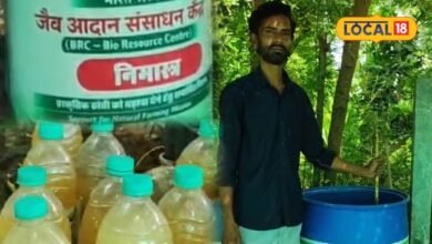 Agriculture : महंगे कीटनाशक छोड़िए, नीम की पत्तियों से घर पर बनाएं नीमास्त्र, इन खतरनाक कीटों से फसल को बचाने में मिलेगी मदद