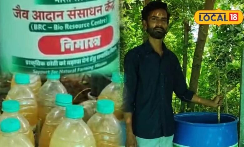 Agriculture : महंगे कीटनाशक छोड़िए, नीम की पत्तियों से घर पर बनाएं नीमास्त्र, इन खतरनाक कीटों से फसल को बचाने में मिलेगी मदद
