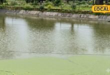 Atal Bhujal Yojana: किसानों ने खेत में काम कराया, विभाग ने रोका भुगतान, अब जारी हुआ 90.91 करोड़
