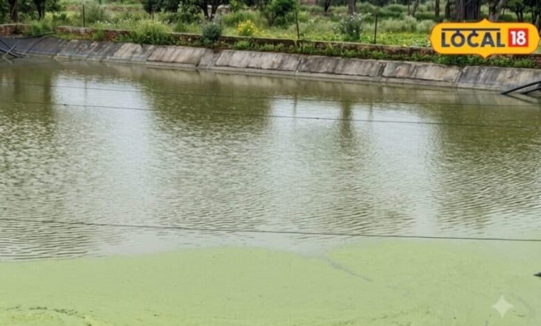 Atal Bhujal Yojana: किसानों ने खेत में काम कराया, विभाग ने रोका भुगतान, अब जारी हुआ 90.91 करोड़