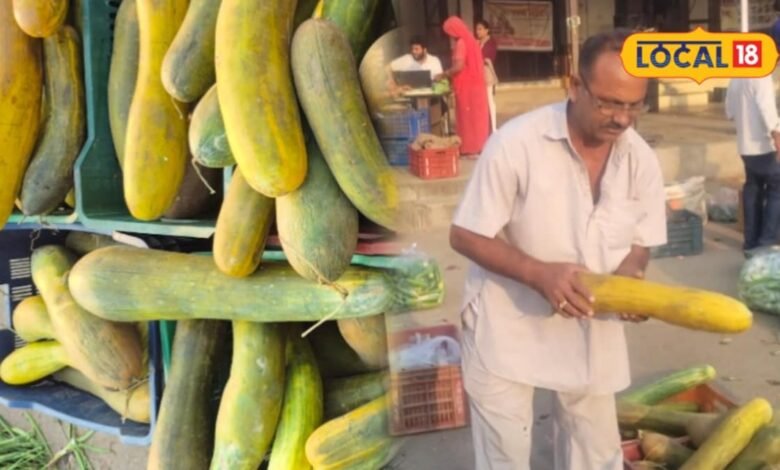 Balam Kakdi: बाहर से लौकी अंदर हरा-केसरिया रंग, जालोर मंडी में आई ये अनोखी ककड़ी, कीमत 150 रूपए किलो