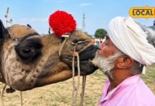 Beri Animal Fair 2026: लम्पी के बीच बेरी पशु मेले को मिली हरी झंडी, इस बार दो चरणों में लगेगा मेला