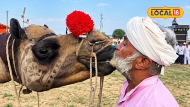 Beri Animal Fair 2026: लम्पी के बीच बेरी पशु मेले को मिली हरी झंडी, इस बार दो चरणों में लगेगा मेला