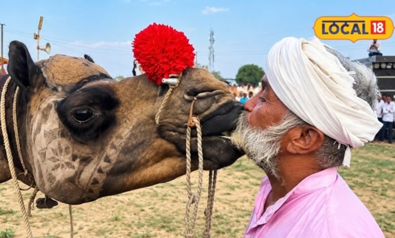 Beri Animal Fair 2026: लम्पी के बीच बेरी पशु मेले को मिली हरी झंडी, इस बार दो चरणों में लगेगा मेला