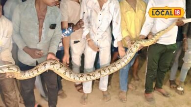 Bhilwara Python Rescue | भीलवाड़ा में मिला 12 फीट लंबा अजगर, 2 घंटे में रेस्क्यू