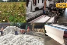 Bhilwara Textile Hub: कपास की खेती से टेक्सटाइल हब तक पहुंचा भीलवाड़ा, ऐसे बदली जिले की अर्थव्यवस्था