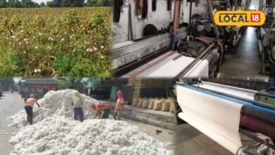 Bhilwara Textile Hub: कपास की खेती से टेक्सटाइल हब तक पहुंचा भीलवाड़ा, ऐसे बदली जिले की अर्थव्यवस्था