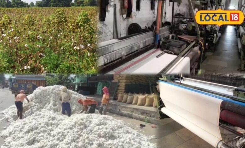 Bhilwara Textile Hub: कपास की खेती से टेक्सटाइल हब तक पहुंचा भीलवाड़ा, ऐसे बदली जिले की अर्थव्यवस्था