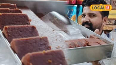Bournvita Barfi I मावे की बर्फी खाकर हो गए बोर? चखिए बॉर्नविटा वाली ये चॉकलेटी मिठाई