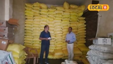 Business Idea: गांव में है अपनी जमीन? तो खेती के साथ शुरू करें ये कमाल का बिजनेस, फार्मिंग से लेकर बागवानी तक रहती है डिमांड