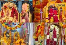Devjhulni Ekadashi: साल में एक बार निकलते हैं ठाकुरजी, रेवाड़ी के नीचे से गुजरते हैं श्रद्धालु, जानें अनोखी परंपरा