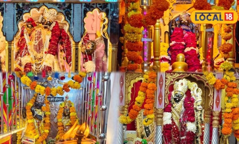 Devjhulni Ekadashi: साल में एक बार निकलते हैं ठाकुरजी, रेवाड़ी के नीचे से गुजरते हैं श्रद्धालु, जानें अनोखी परंपरा
