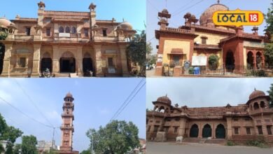 Dholpur Tourism | best place for Tourism in dholpur| Top 3 Places to Visit in Dholpur
