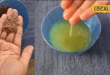 Hair Care Tips : मेथी, चावल और अलसी...ये 3 चीजें हफ्तेभर में रोक देंगी बालों का झड़ना, जानिए तरीका