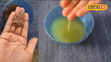 Hair Care Tips : मेथी, चावल और अलसी...ये 3 चीजें हफ्तेभर में रोक देंगी बालों का झड़ना, जानिए तरीका