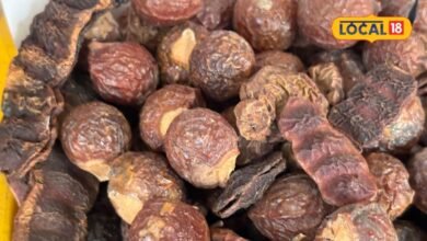 Hair Care Tips : शिकाकाई से बालों को क्यों धोती हैं पहाड़ी औरतें? फायदे जान भूल जाओगे शैंपू, ये रहा तरीका