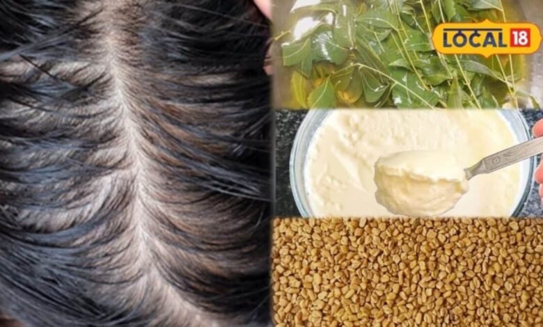 Hair Care Tips: सितंबर की उमस में बाल हो रहे चिपचिपे, दादी-नानी के नीम-दही और मेथी वाले ये नुस्खे आएंगे काम