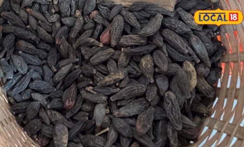Harad | Harad Ke Fayde | Harad Health Benefit | Health Tips | सुपारी की तरह चबा जाइए ये काली चीज, पाचन से लेकर मुंह तक में फायदेमंद, इस समय खाना कारगर