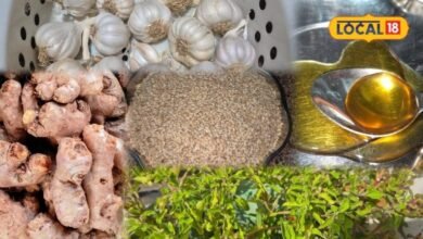 Health Tips: गले में खराश हो या दांत दर्द, 90 साल की दादी ने बताए रसोई में छिपे 5 पुराने घरेलू नुस्खे, दिलाते हैं तुरंत राहत